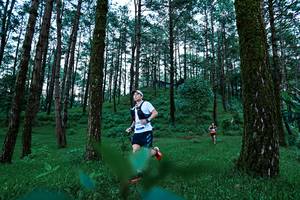 BIB: 
                            <button type="button" onclick="openModal(25020237)" class="btn btn-primary btn-sm float-right btn-popup" data-toggle="modal" data-target=".modal-high-quality">
                        <i class="fas fa-shopping-cart"></i> Add to Cart
                    </button>
                                            <button type="button" onclick="isThisMe(25020237, true)" class="btn btn-success btn-sm float-right btn-popup btn-isme hidden" data-toggle="tooltip" data-placement="bottom" title="นี่คือรูปของคุณใช่ไหม คลิกที่นี่เพื่อเอาเข้าอัลบั้ม">
                        <i class="fas fa-plus"></i> Add to album
                    </button>
                    <button type="button" onclick="isThisMe(25020237, false)" class="btn btn-warning btn-sm float-right btn-popup btn-isnotme hidden">
                        <i class="fas fa-ban"></i> Remove from album
                    </button>